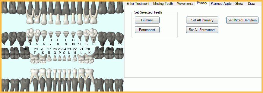 Primary Dentition Chart